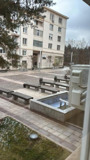 EMC Apartament central